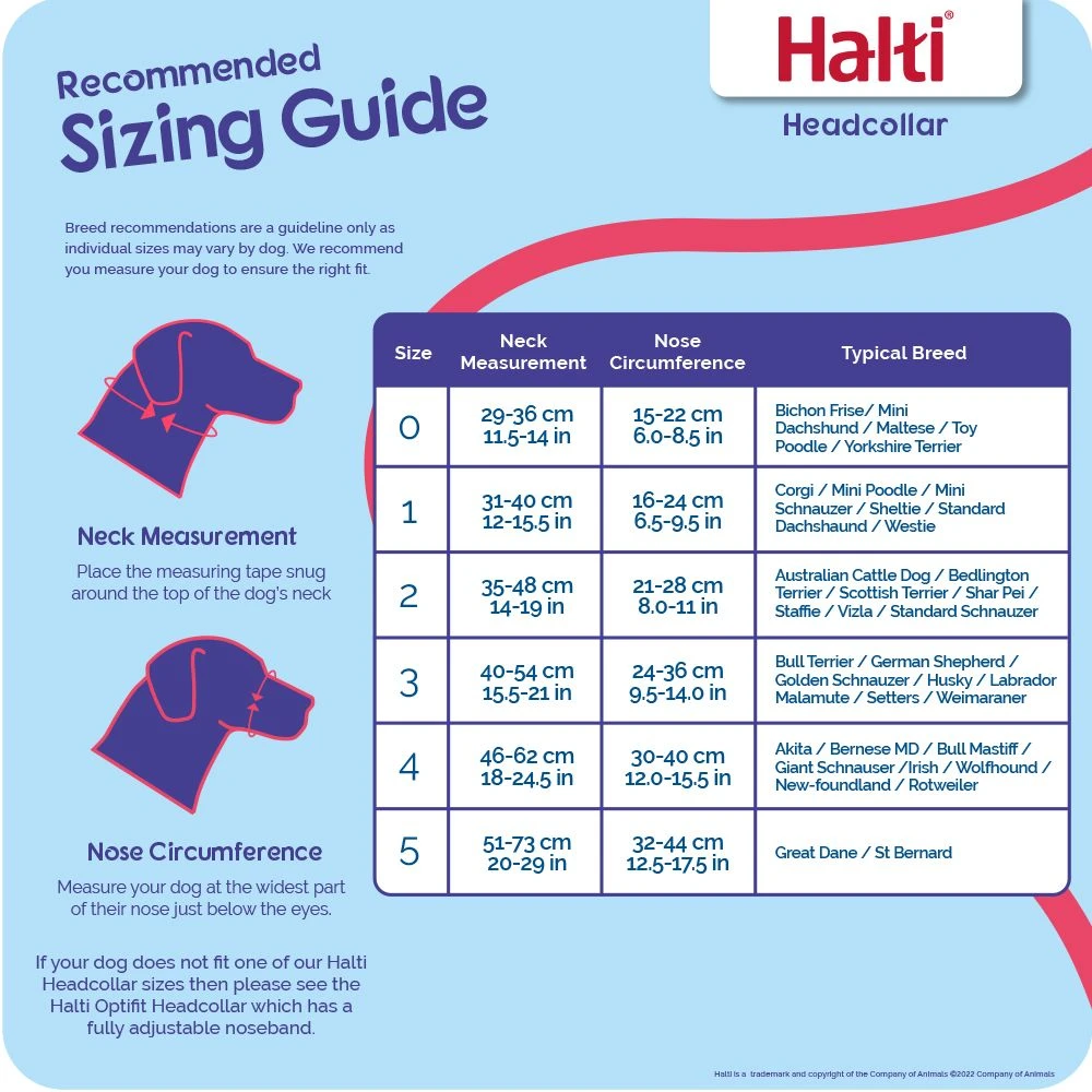 Halti Headcollar Erziehungshilfe 3 Halti Headcollar Erziehungshilfe