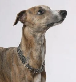 Sprenger 3er Halskette 2 Cm