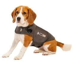 Thundershirt