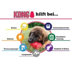 KONG Classic Rot -Katzen- Und Hundetagebuch 04250 3