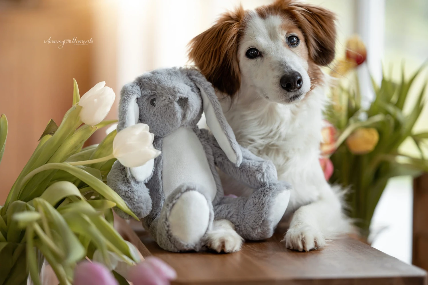 Frauchens Liebling Kuschelhase Elvis Grau 26cm 3 Frauchens Liebling Kuschelhase Elvis Grau 26cm