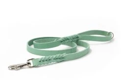 Maul Lederleine Mono Pop Mint / Silber