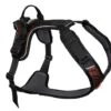 Non-Stop Rock Harness Schwarz/orange -Katzen- Und Hundetagebuch 1300.n 1