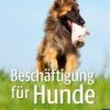 Beschäftigung Für Hunde Jan Nijboer -Katzen- Und Hundetagebuch 134191