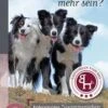Darfs Einer Mehr Sein? 1.Auflage -Katzen- Und Hundetagebuch 14577095