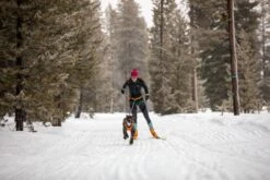 RUFFWEAR Polar Trex Schwarz 2 Stück -Katzen- Und Hundetagebuch 15302 7