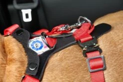 Kleinmetall Allsafe Comfort Hundesicherheitsgurt -Katzen- Und Hundetagebuch 15390100 8