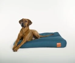 Clébard Hundebett Sofa Blau -Katzen- Und Hundetagebuch 1595 3 10