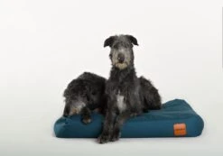 Clébard Hundebett Sofa Blau -Katzen- Und Hundetagebuch 1595 3 11