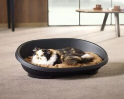 Kunststoffschale Snooze Schwarz