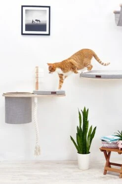 Cosy&Dozy Cat Walk SMART Set -Katzen- Und Hundetagebuch 21010 10