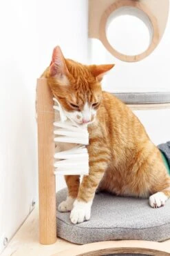 Cosy&Dozy Cat Walk SMART Set -Katzen- Und Hundetagebuch 21010 6