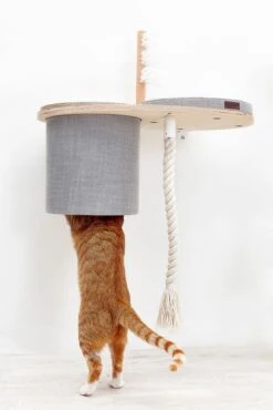 Cosy&Dozy Cat Walk PLAY Set 16 Cosy&Dozy Cat Walk PLAY Set -Katzen- Und Hundetagebuch 21011 5