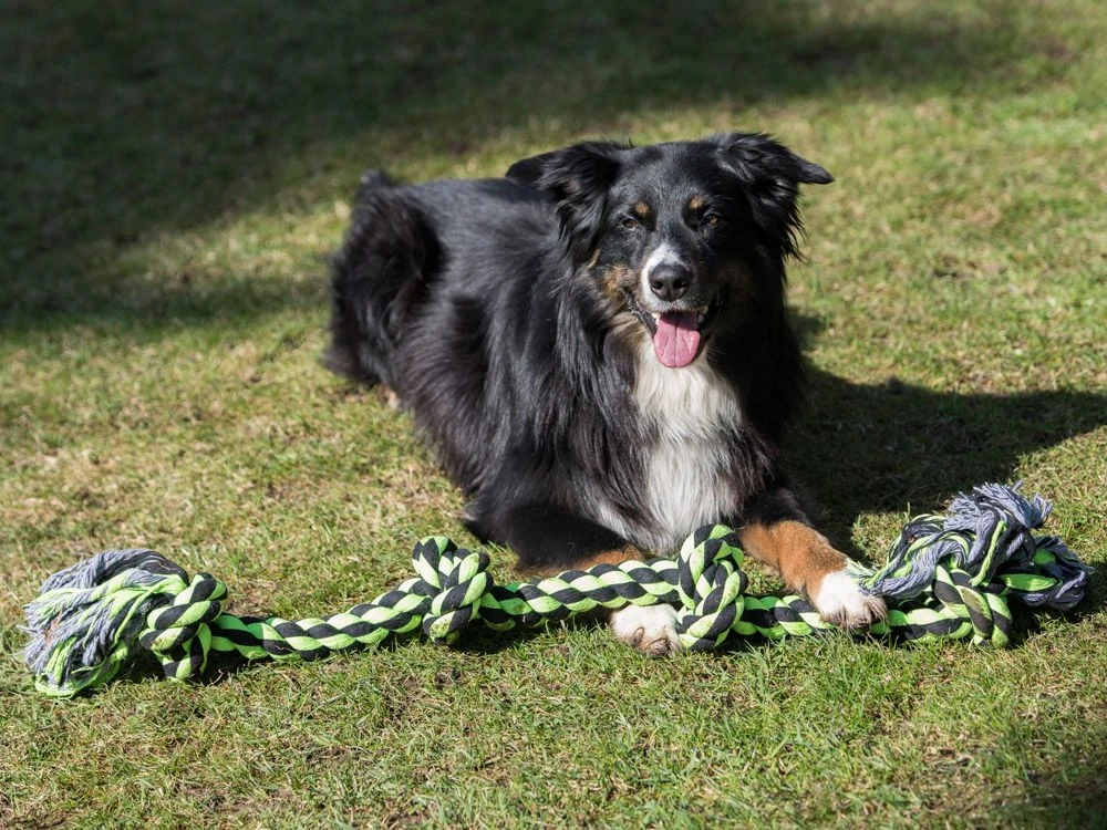 XXL Knotenseil 4 Knoten 105 Cm 1250 G, Taudicke 4.5 Cm 4 XXL Knotenseil 4 Knoten 105 Cm 1250 G, Taudicke 4.5 Cm – Bild 2