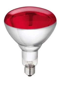 Philips Hartglas-Infrarotlampe 150 Watt 1 Stück Rot
