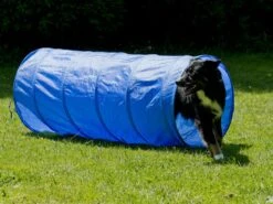 Procyon Agility Set K2 1 Tunnel, 4 Slalomstangen, 1 Sprung, 1 Sprungring Ø 41cm -Katzen- Und Hundetagebuch 243922 3