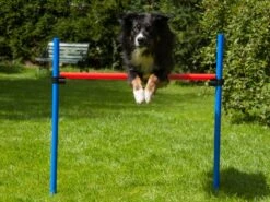 Procyon Agility Set K2 1 Tunnel, 4 Slalomstangen, 1 Sprung, 1 Sprungring Ø 41cm -Katzen- Und Hundetagebuch 243922 4