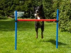 Procyon Agility Set K2 1 Tunnel, 4 Slalomstangen, 1 Sprung, 1 Sprungring Ø 41cm -Katzen- Und Hundetagebuch 243922 5