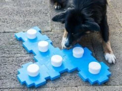 Procyon Schnüffel Würfel -Katzen- Und Hundetagebuch 243996 5