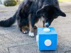 Procyon Schnüffel Würfel -Katzen- Und Hundetagebuch 243996 6