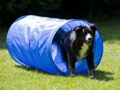Procyon Agility Set Starter 1 Tunnel 60x152 Cm, 4 Slalomstangen 1 Sprung, 1 Boxband