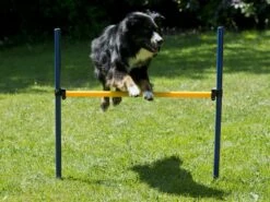 Procyon Agility Set Starter 1 Tunnel 60x152 Cm, 4 Slalomstangen 1 Sprung, 1 Boxband -Katzen- Und Hundetagebuch 243997 4