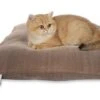 Darling Little Place Kissen Timber S 55 X 55 X 12 Cm -Katzen- Und Hundetagebuch 3055040102