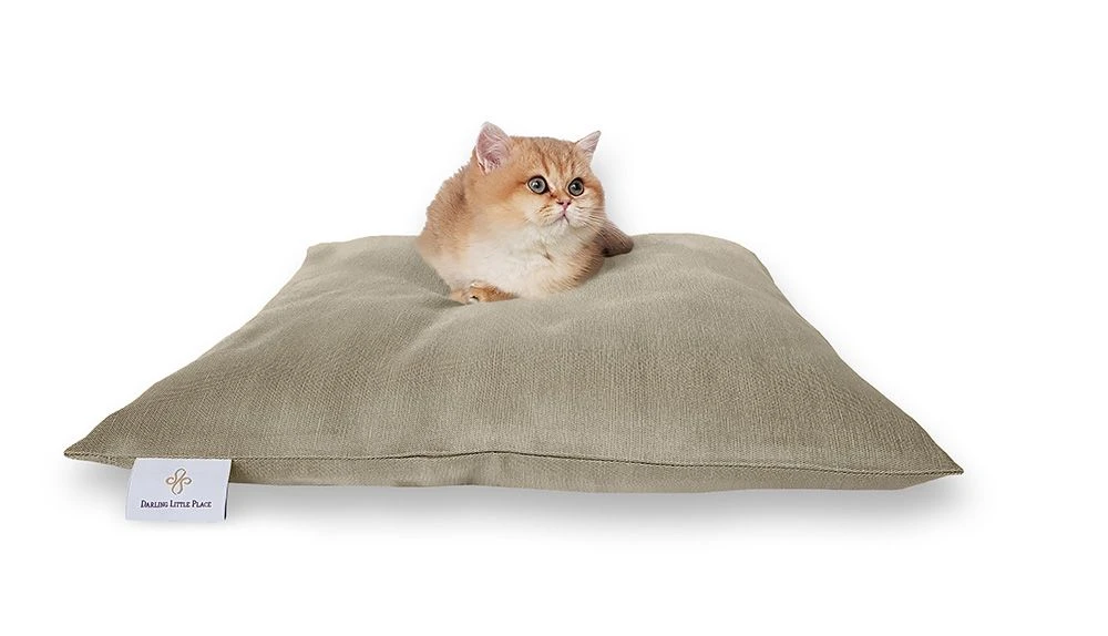 Darling Little Place Kissen Reed Solid S 55 X 55 Cm X 10 Cm 2 Darling Little Place Kissen Reed Solid S 55 X 55 Cm X 10 Cm