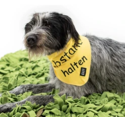 Knauder's Best Halstuch Abstand Halten Ca. 60 Cm, Gelb -Katzen- Und Hundetagebuch 31036.d