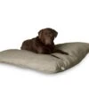 Darling Little Place Kissen Reed Solid -Katzen- Und Hundetagebuch 3110070102