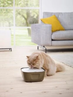 Katzen-Trinkbrunnen Volcano 2.5 L -Katzen- Und Hundetagebuch 40302 2