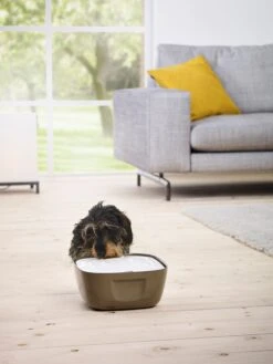 Katzen-Trinkbrunnen Volcano 2.5 L -Katzen- Und Hundetagebuch 40302 3