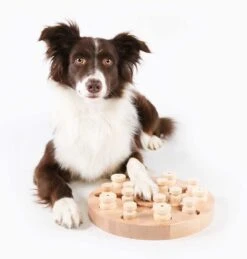 My Intelligent Pets Mandala & Star Ca. Ø 28 X 3 Cm