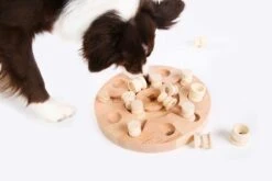 My Intelligent Pets Mandala & Star Ca. Ø 28 X 3 Cm -Katzen- Und Hundetagebuch 409011 2