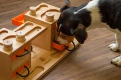 My Intelligent Pets 2 Towers Ca. 42.5 X 20 X 14.5 Cm -Katzen- Und Hundetagebuch 409012 2