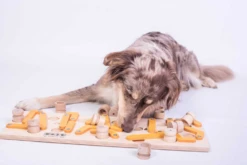 My Intelligent Pets Erweiterung Zu MAUS 14 Walzen -Katzen- Und Hundetagebuch 409050 3