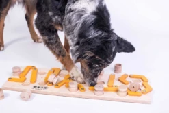 My Intelligent Pets Erweiterung Zu MAUS 14 Walzen -Katzen- Und Hundetagebuch 409050 4