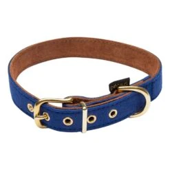Dogius Halsband Athene Blau
