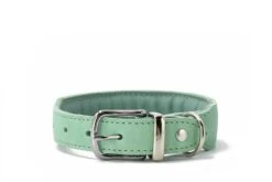 Maul Halsband Mono Pop Mint / Silber