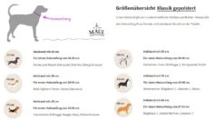 Maul Halsband Mono Pop Mint / Silber 9 Maul Halsband Mono Pop Mint / Silber -Katzen- Und Hundetagebuch 5066 3