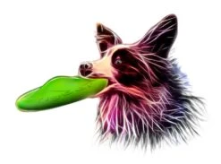 Flyber Frisbee Ø 22 Cm -Katzen- Und Hundetagebuch 62175 5