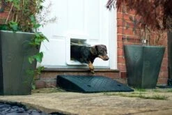 SureFlap Haustierklappe CONNECT XL Weiss -Katzen- Und Hundetagebuch 629214 6