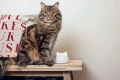 SureFlap Hub Weiss -Katzen- Und Hundetagebuch 629215 4