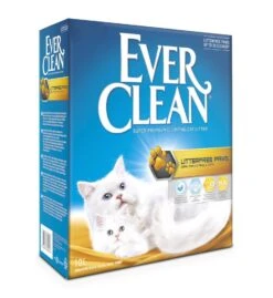 Ever Clean Litterfree Paws 10L