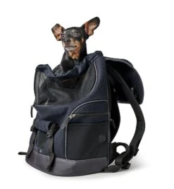 Hunter Rucksack Madison Schwarz 35 X 20 X 42 Cm -Katzen- Und Hundetagebuch 67681 6