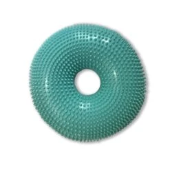 FLEXIness DonutDisc Aqua Ø 35 Cm Inkl. Trainingsbroschüre