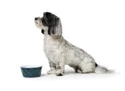 Hunter Keramiknapf Eiby Blau -Katzen- Und Hundetagebuch 68648 9