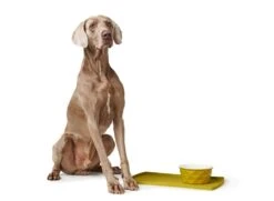 Hunter Keramiknapf Eiby Gelb -Katzen- Und Hundetagebuch 68652 8