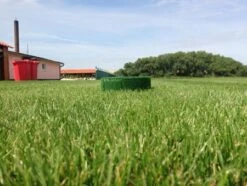 Flexhole Höhe 10 Cm Ø Ca. 30 Cm -Katzen- Und Hundetagebuch 7334207 3