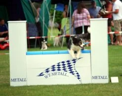 WT-Metall Mauer -Katzen- Und Hundetagebuch 740019 3